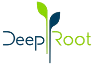 DeepRoot Consulting