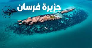 بنك كنوز فرسان الجيني